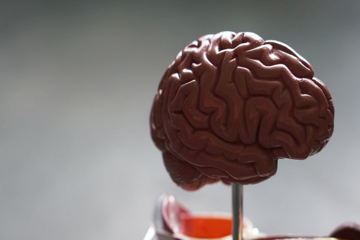 CBD Oil for ADHD: Does it Work?