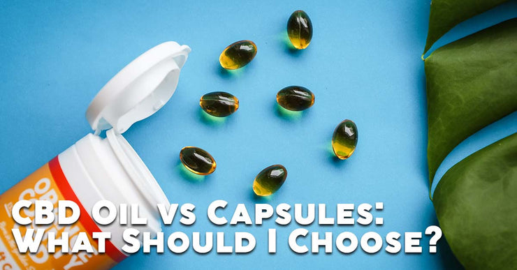 CBD oil vs capsules